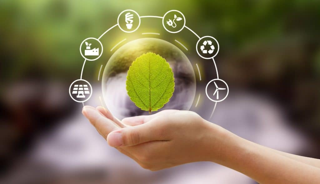 Sustentabilidade e logística verde